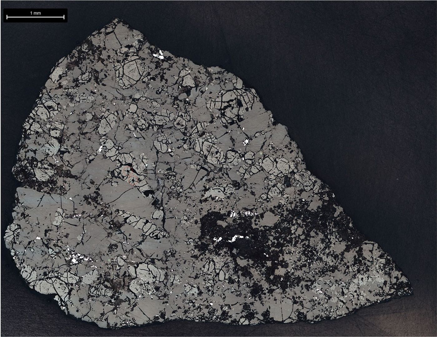 Coupe gris et noir de la météorite Teghaza 001 montrant une mosaïque de minéraux et de fractures ; barre d’échelle de 1 millimètre.